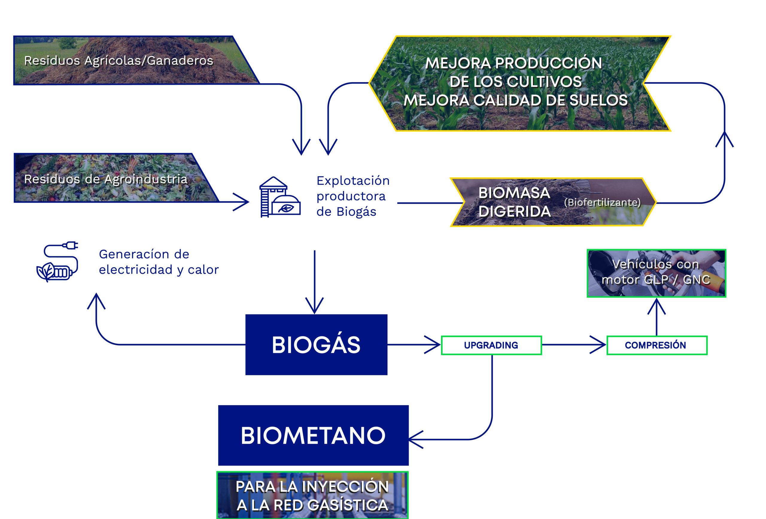 Infografia Bio-gas